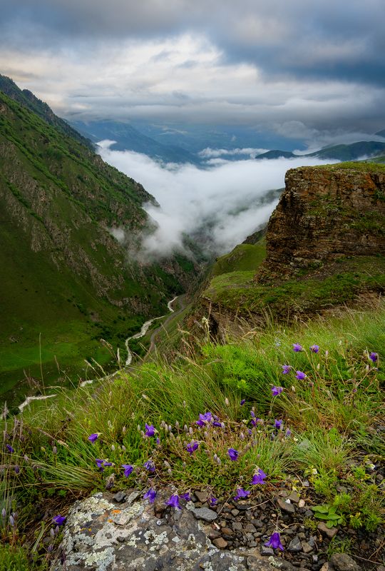 mountains Valley view фото превью