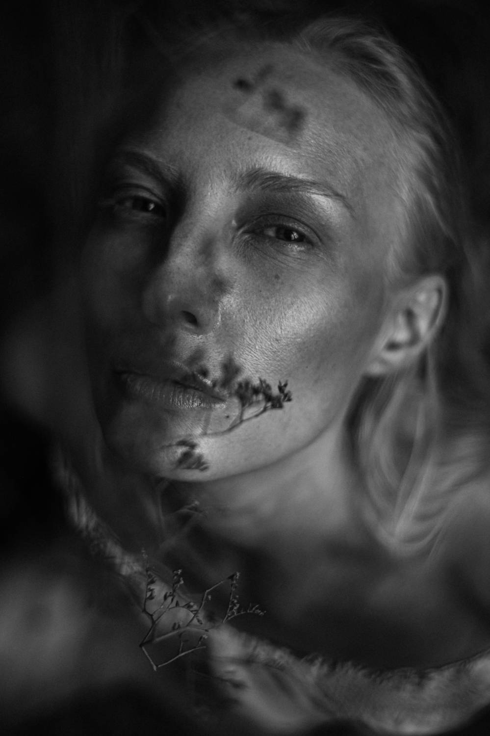 Автор: Щеглова Марина , Щеглова Марина