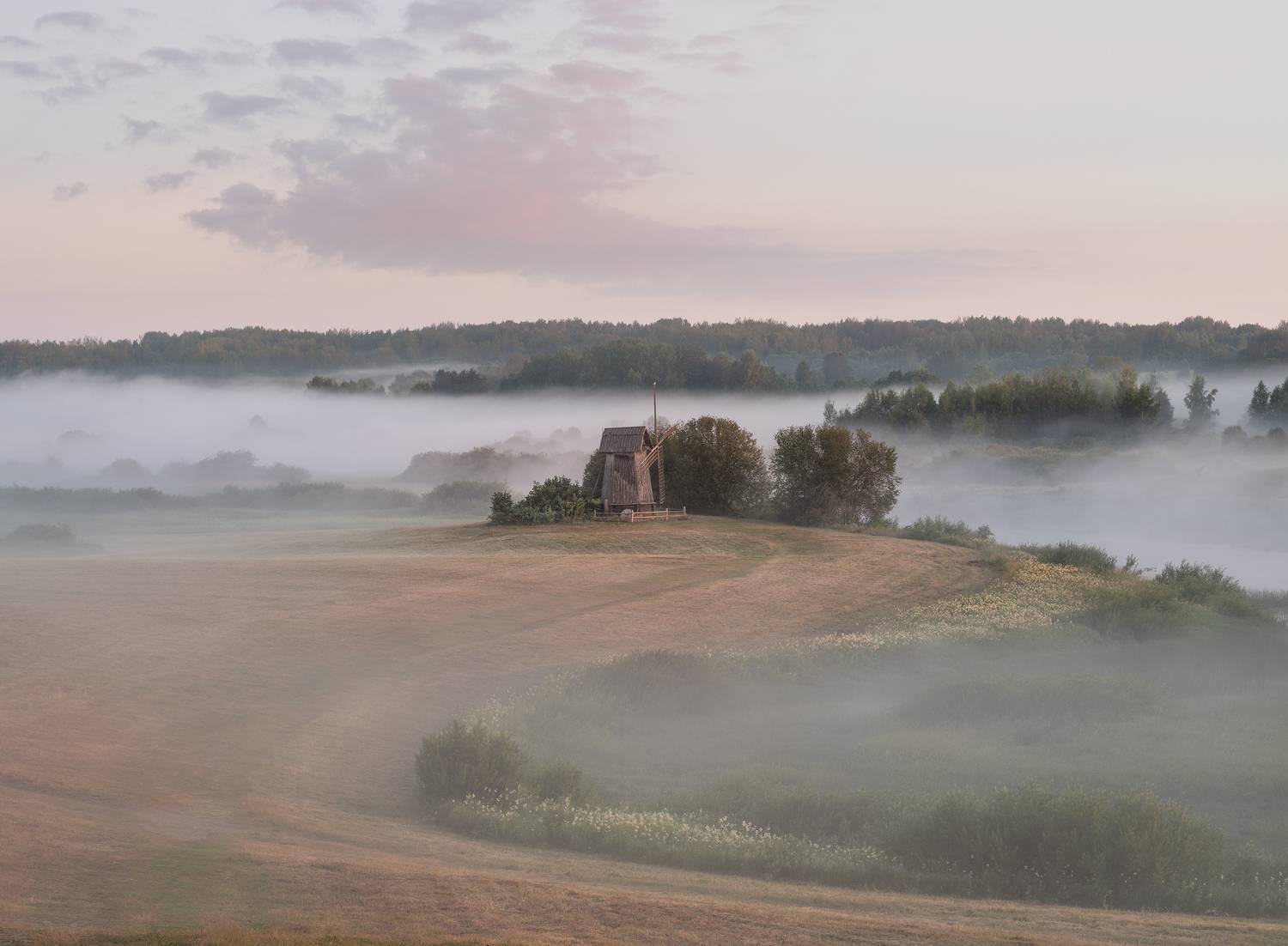 , Елена Ермолина