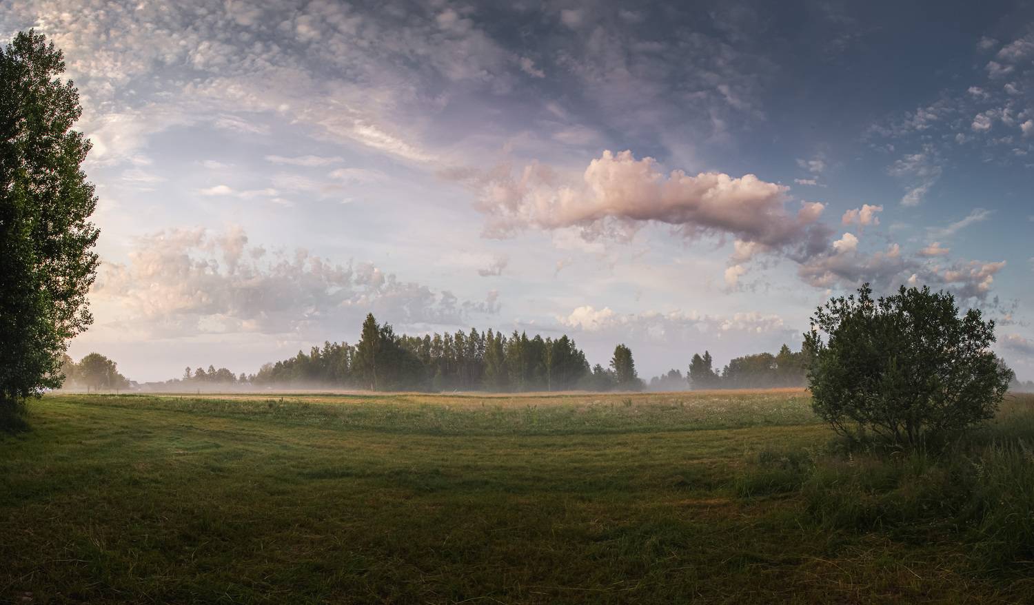 лето утро Торбеево, Зеленько Дмитрий
