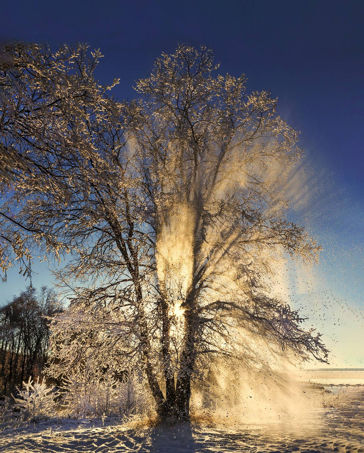 , Ушаков Валерий