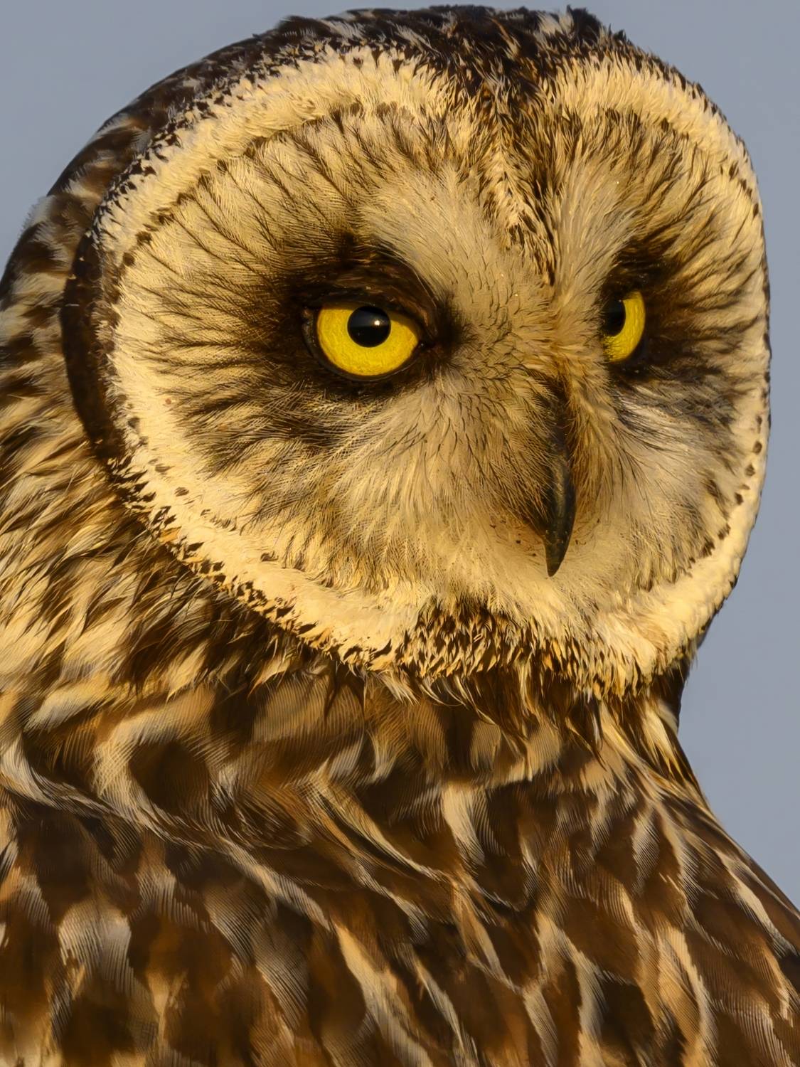 , Пупонин Сергей