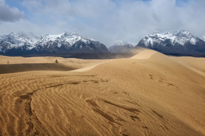 *** фото превью