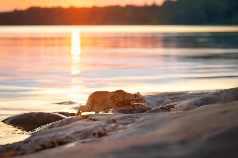 На закате фото превью