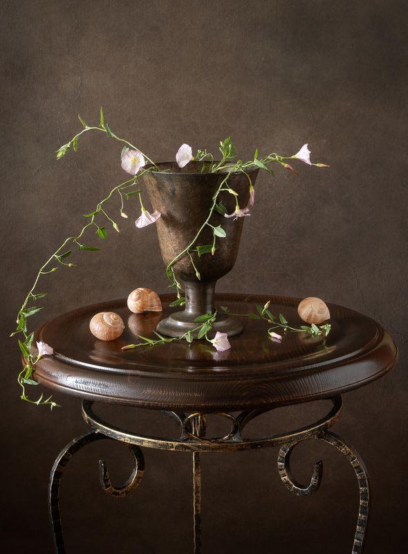 Вьюнок полевой. фото превью