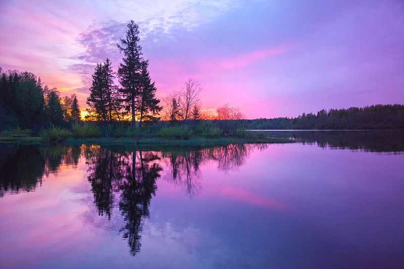 Бобриный остров фото превью