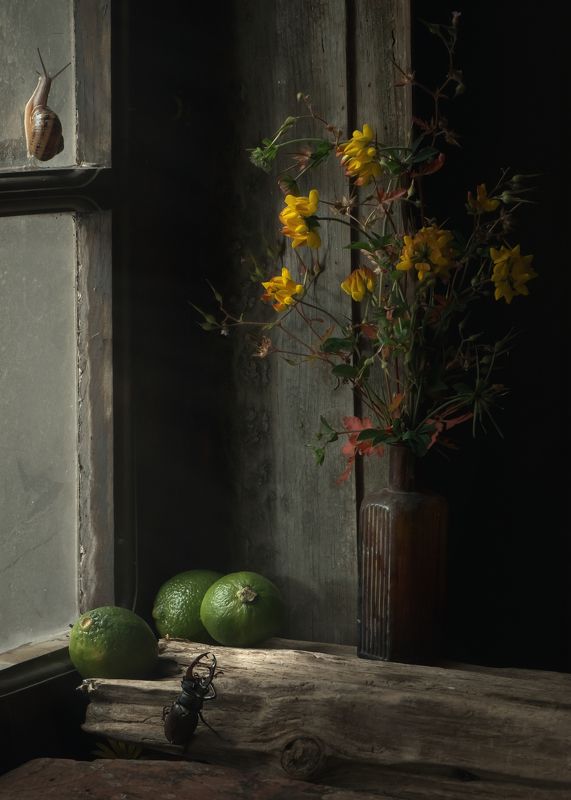 * фото превью