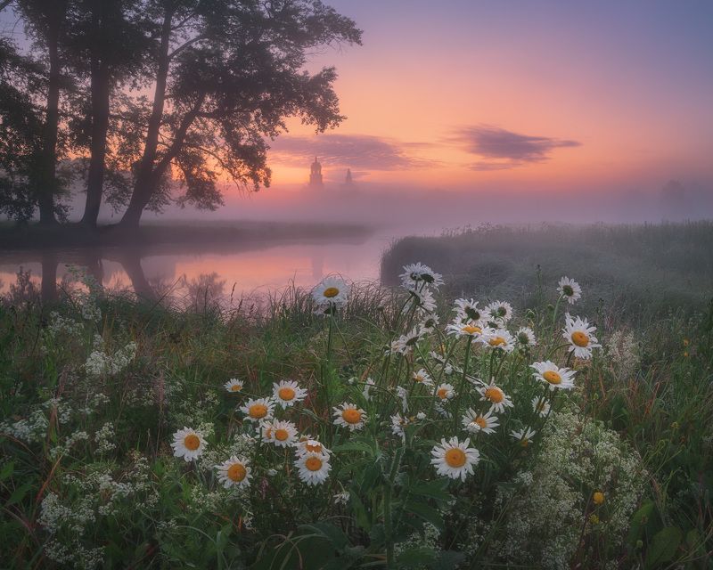 Июльский букет фото превью