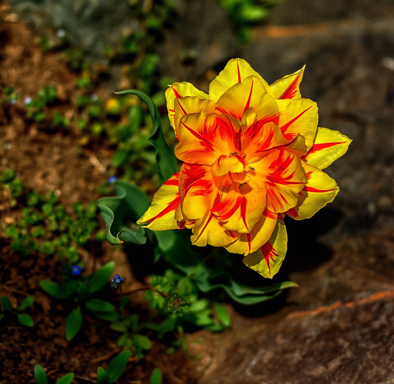 , Владимир Гамаюнов