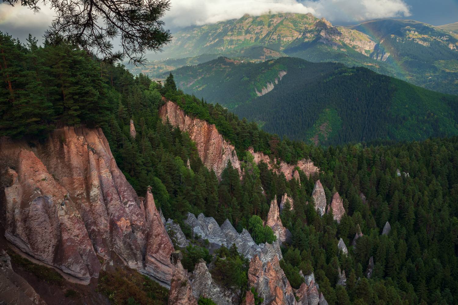 , Рагинская Ольга