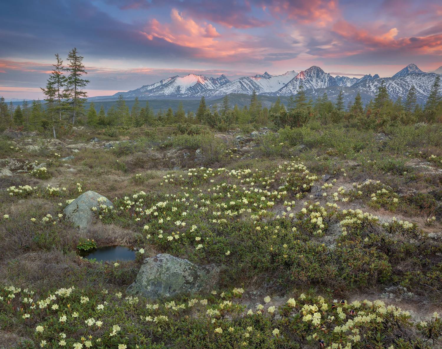 Фототуры с Владимиром Рябковым, #topnature #russpasibo #magic_shots #lovelyRussia #sunset_vision #exclusive_sky  #exclusive_shots #loves_russia2 #photoarena_nature #nature_sultans #nature_perfection #rsa_sky #rsa_sunset #photorussia #rsa_naturepics #sunse, Владимир Рябков