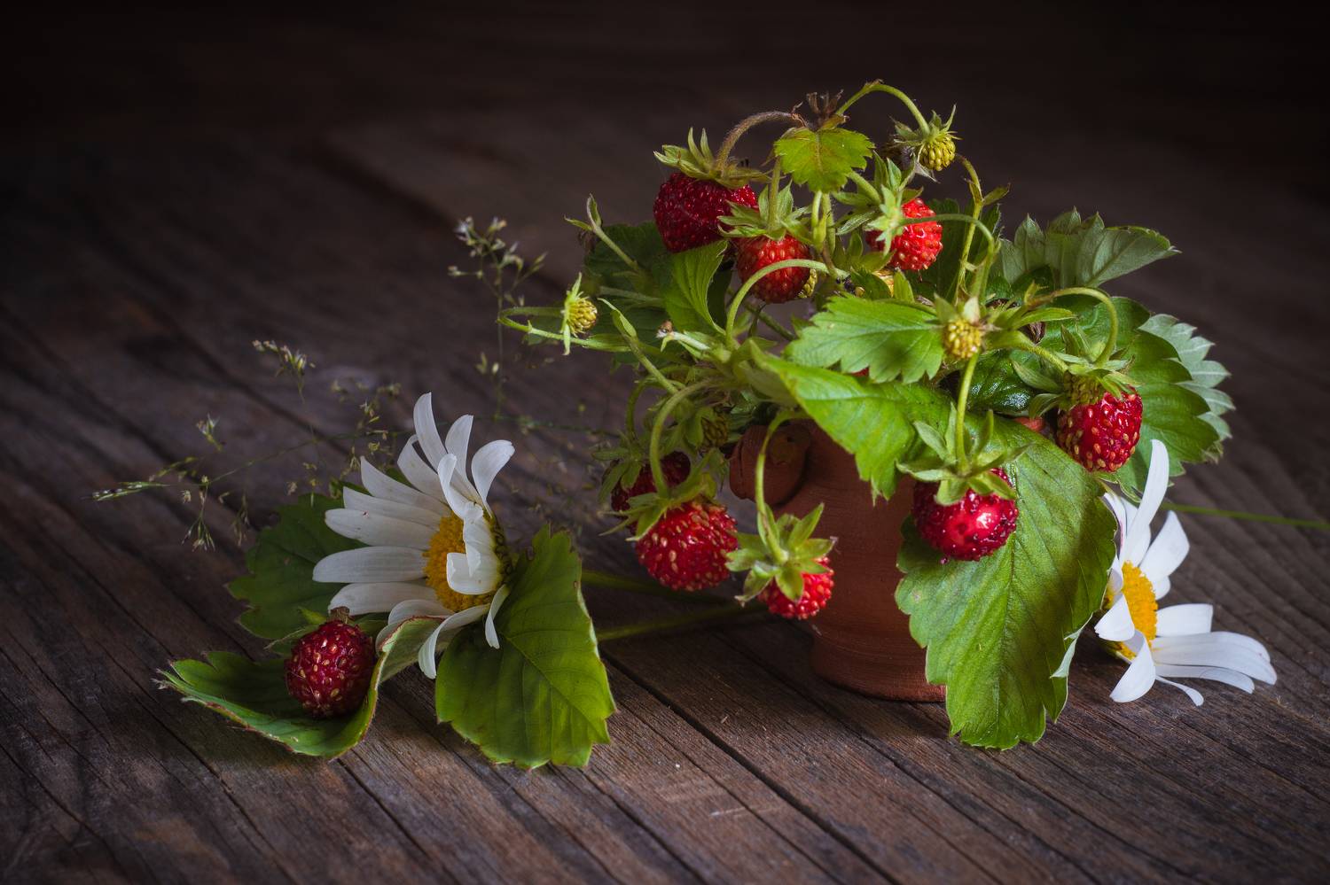 , Хвойнова Елена