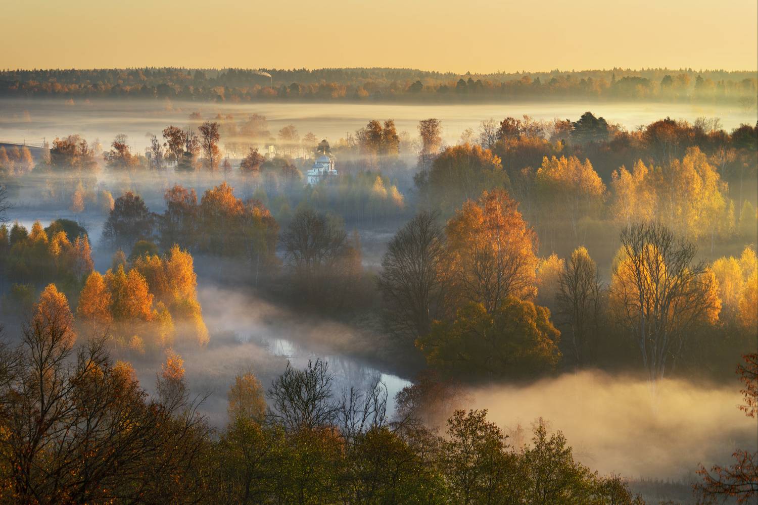золотая осень, восход, туман, новый иерусалим, истра, Медведев Александр