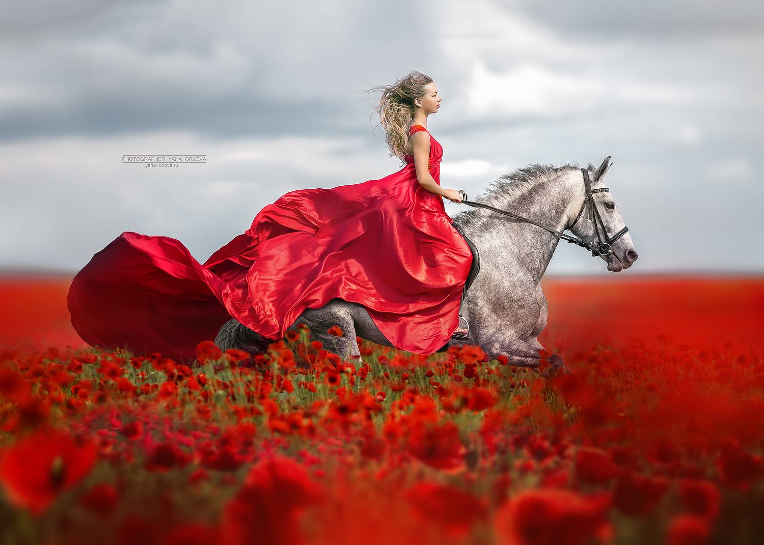 horse, horses, лошадь, конь, конныйфотограф, конный фотограф Яна Орлова,  кэнон, canon, 7020028, лошади, фотографияслошадью, фотосессияслошадью, фотосессиислошадьми, коннаяфотография, pferd, horsephotographer, женский портрет, девушка , Яна Орлова