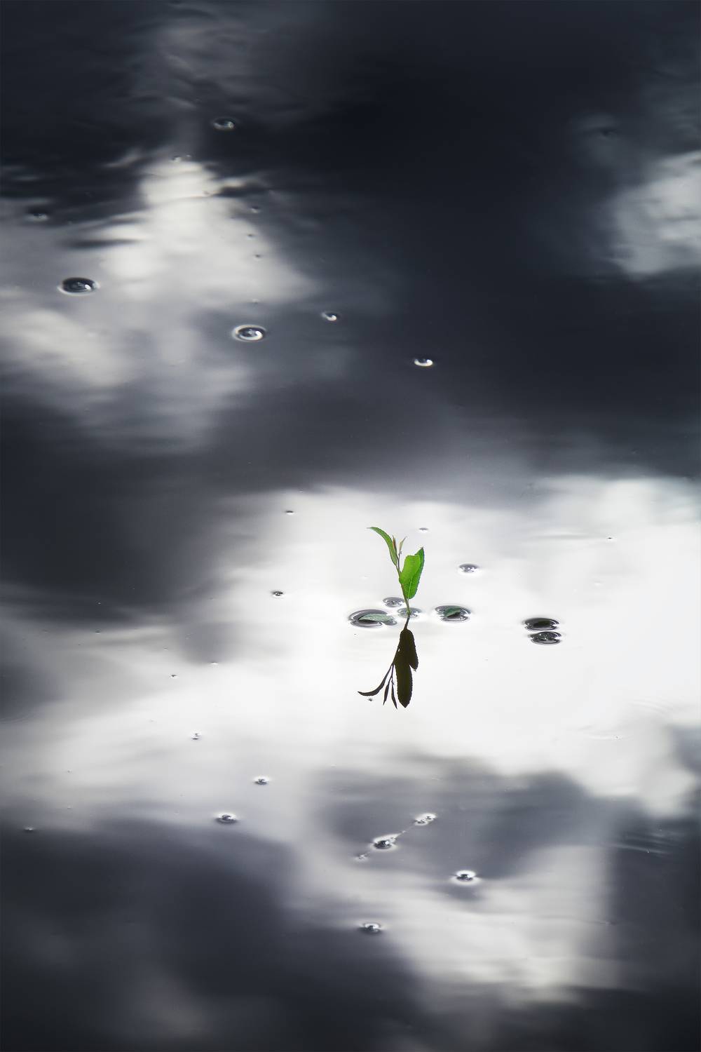 , Наталья Лабодина