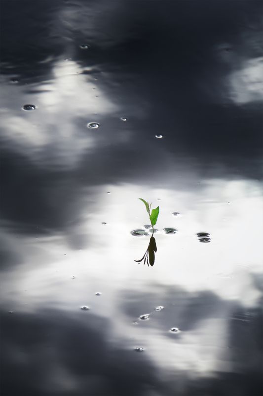 Настроение-лето… фото превью