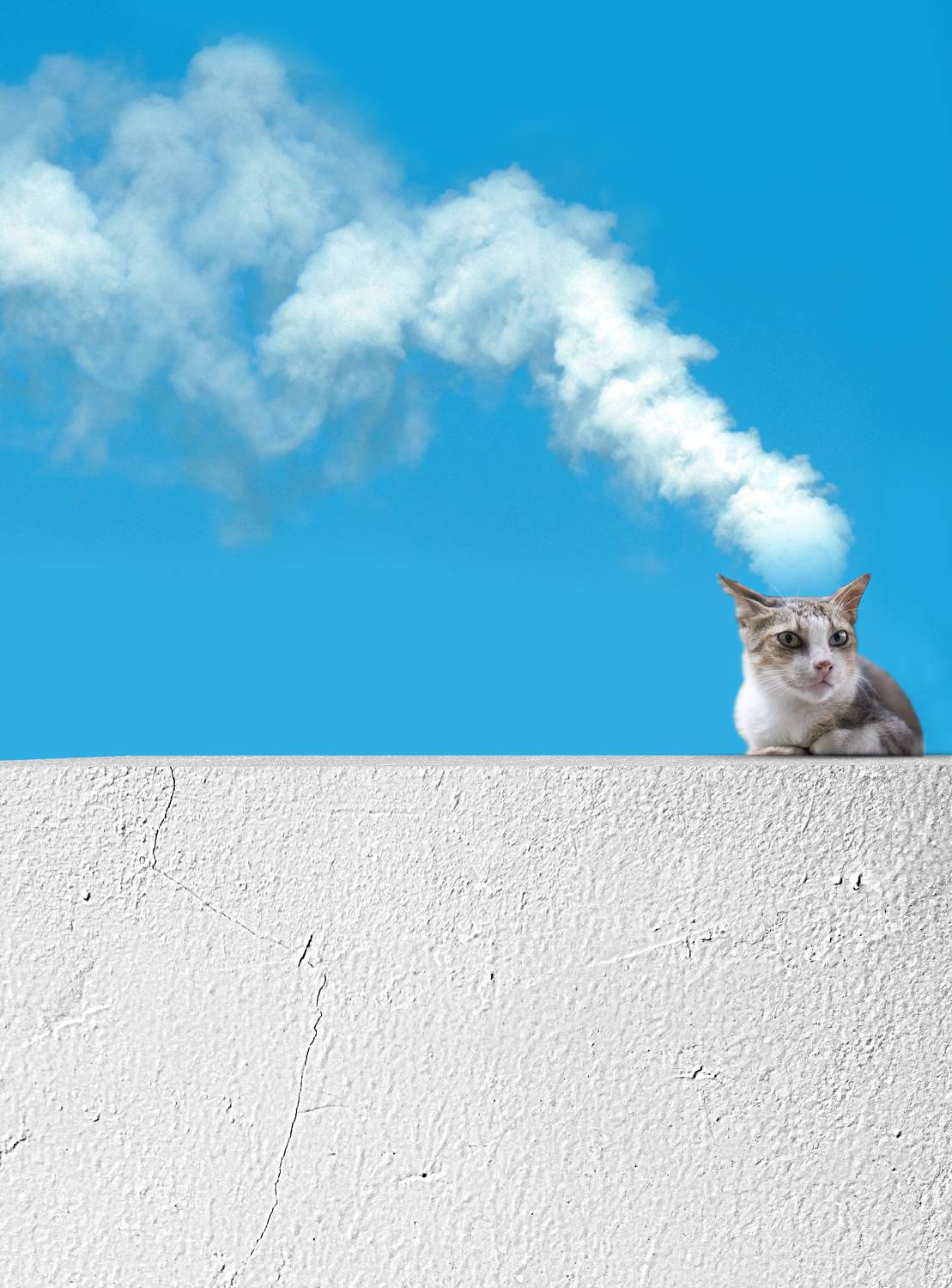 , Alex Yungan Harahap