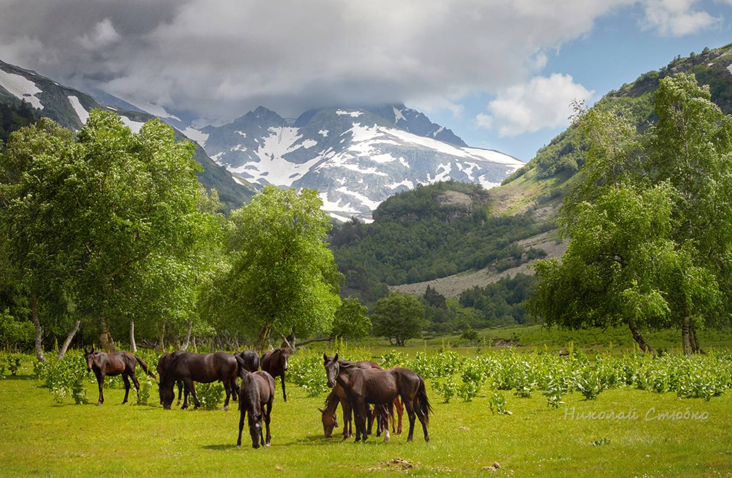 кавказ горы, Николай Стюбко