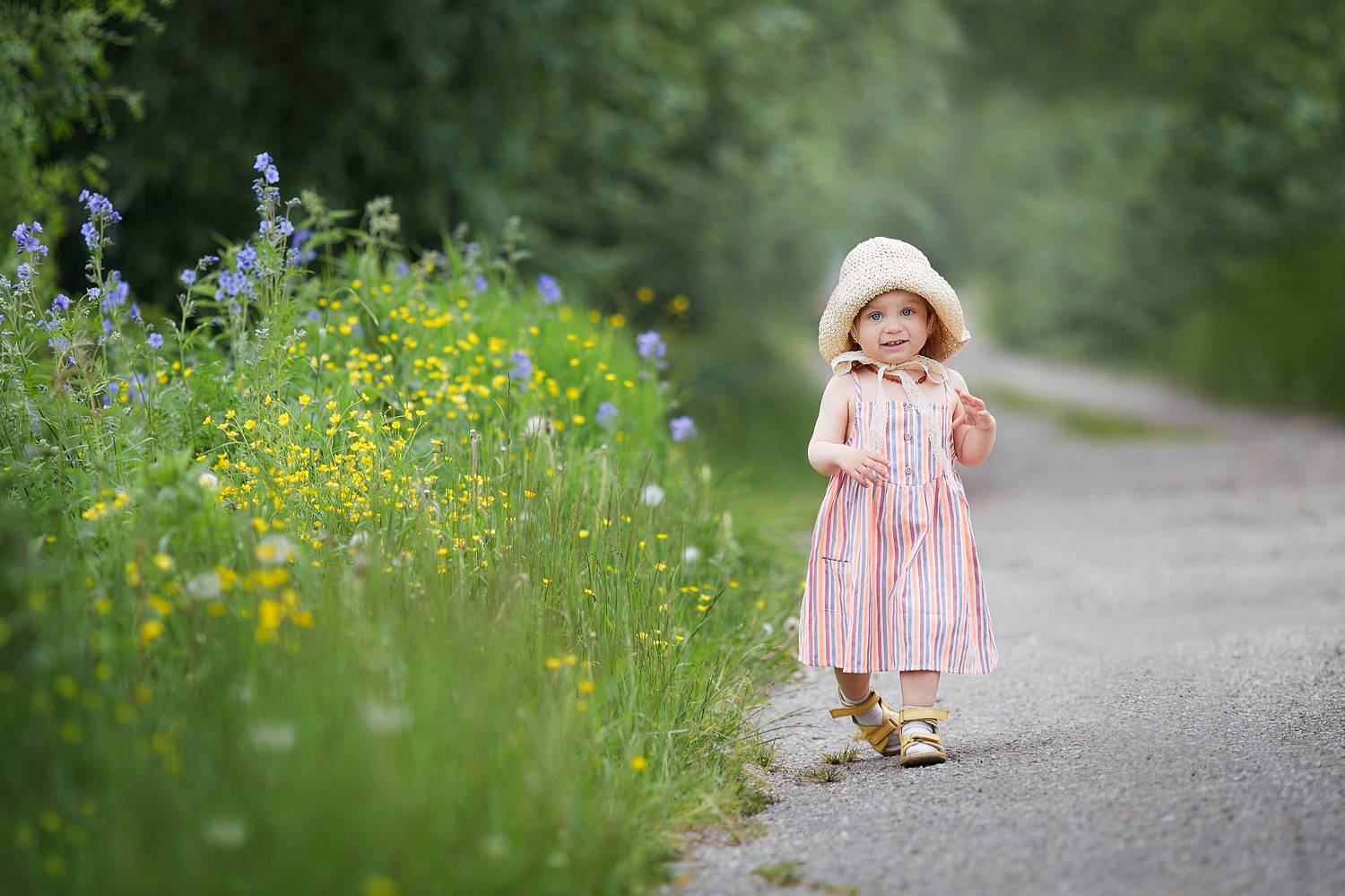 , Илья Лисаускас