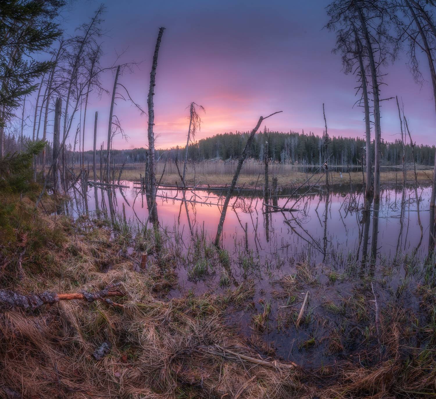 карелия, болото, озеро, рассвет, Марголин Алексей