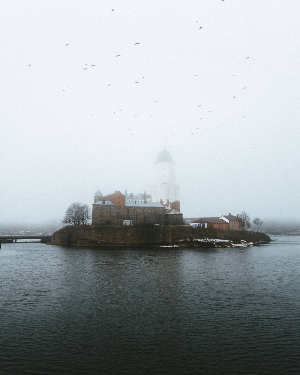 , Слава Азаров