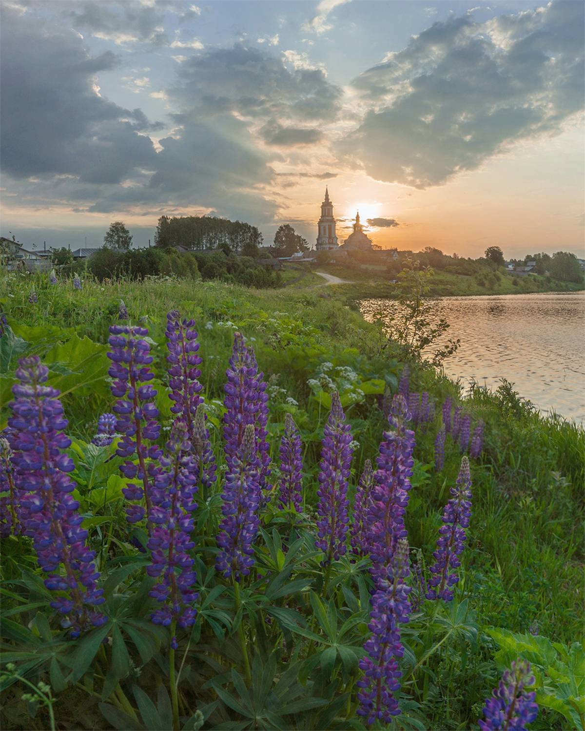 , Петр Косых