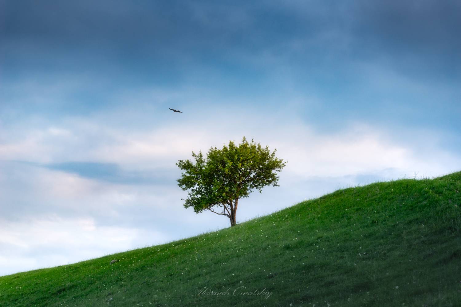 , Орнатский Александр