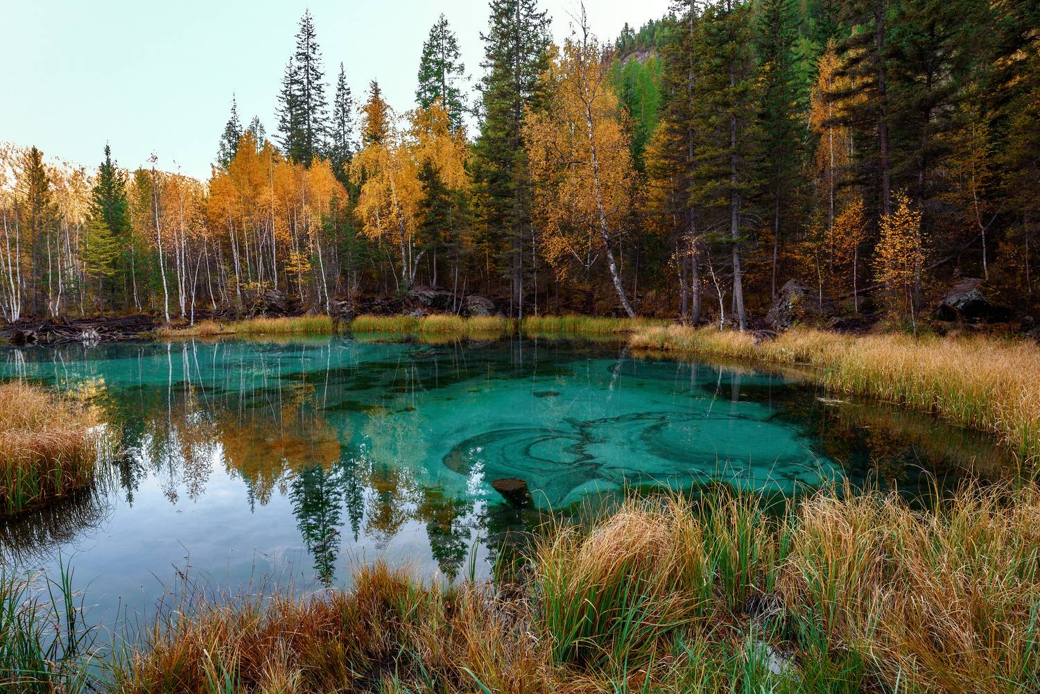 , Рагинская Ольга