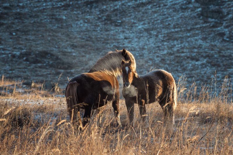 Дыхание осени фото превью