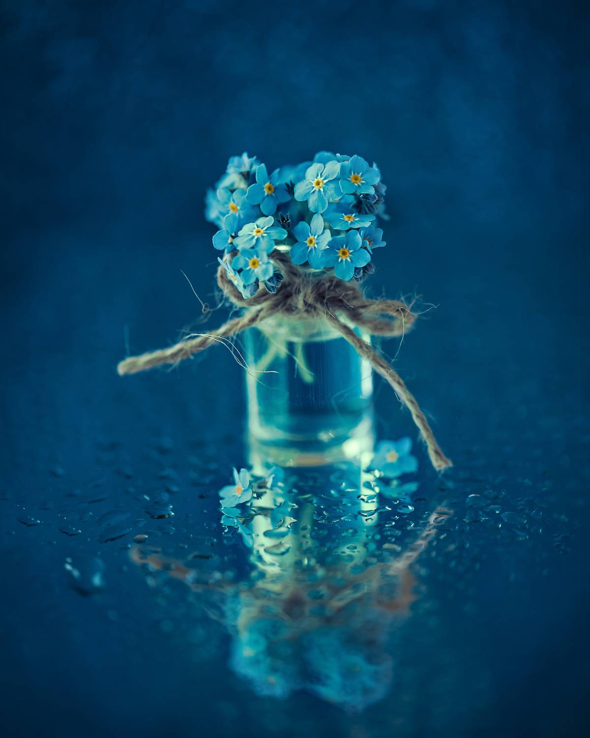 , Рагинская Ольга