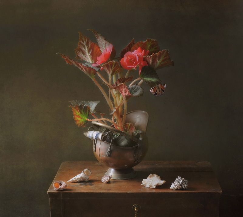 *** фото превью