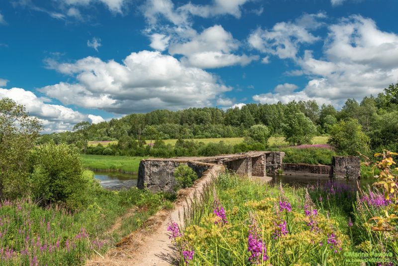 Родные просторы... Старая Устьевская ГЭС на реке Вруда фото превью