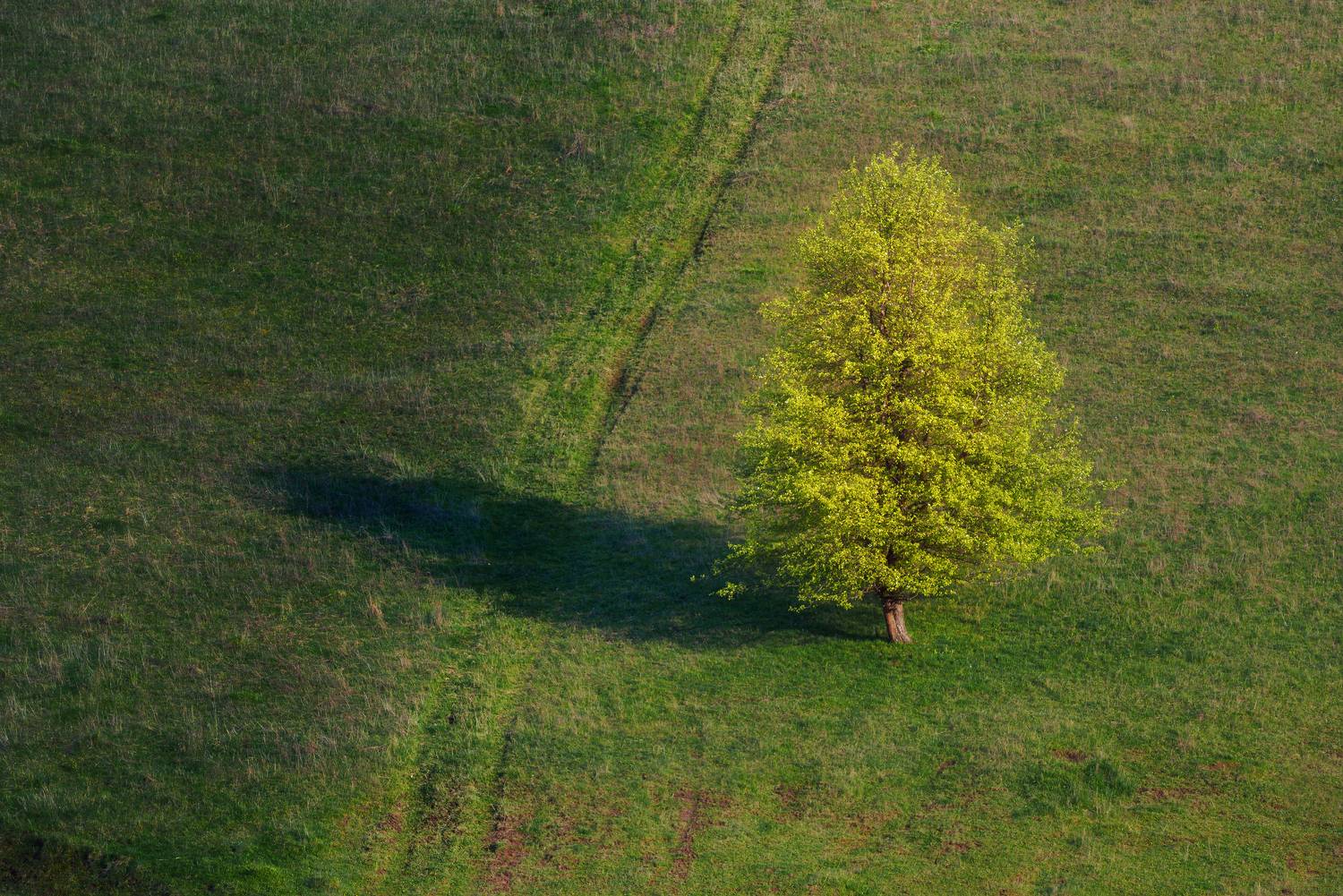 , Павел Абакумов