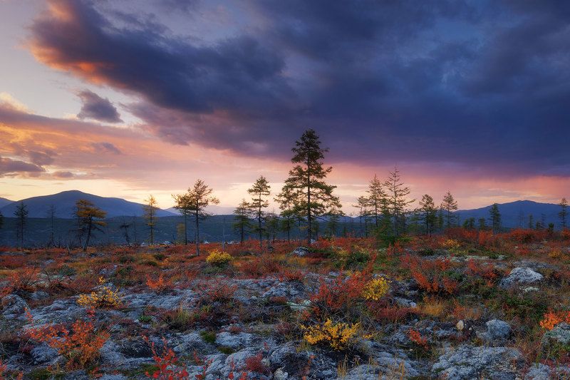 Колыма фото превью