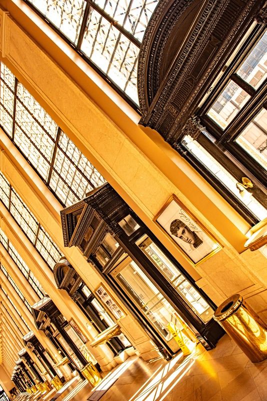 Яркий день фото превью