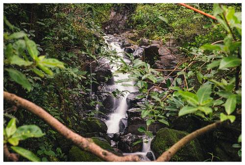 Waterfall
