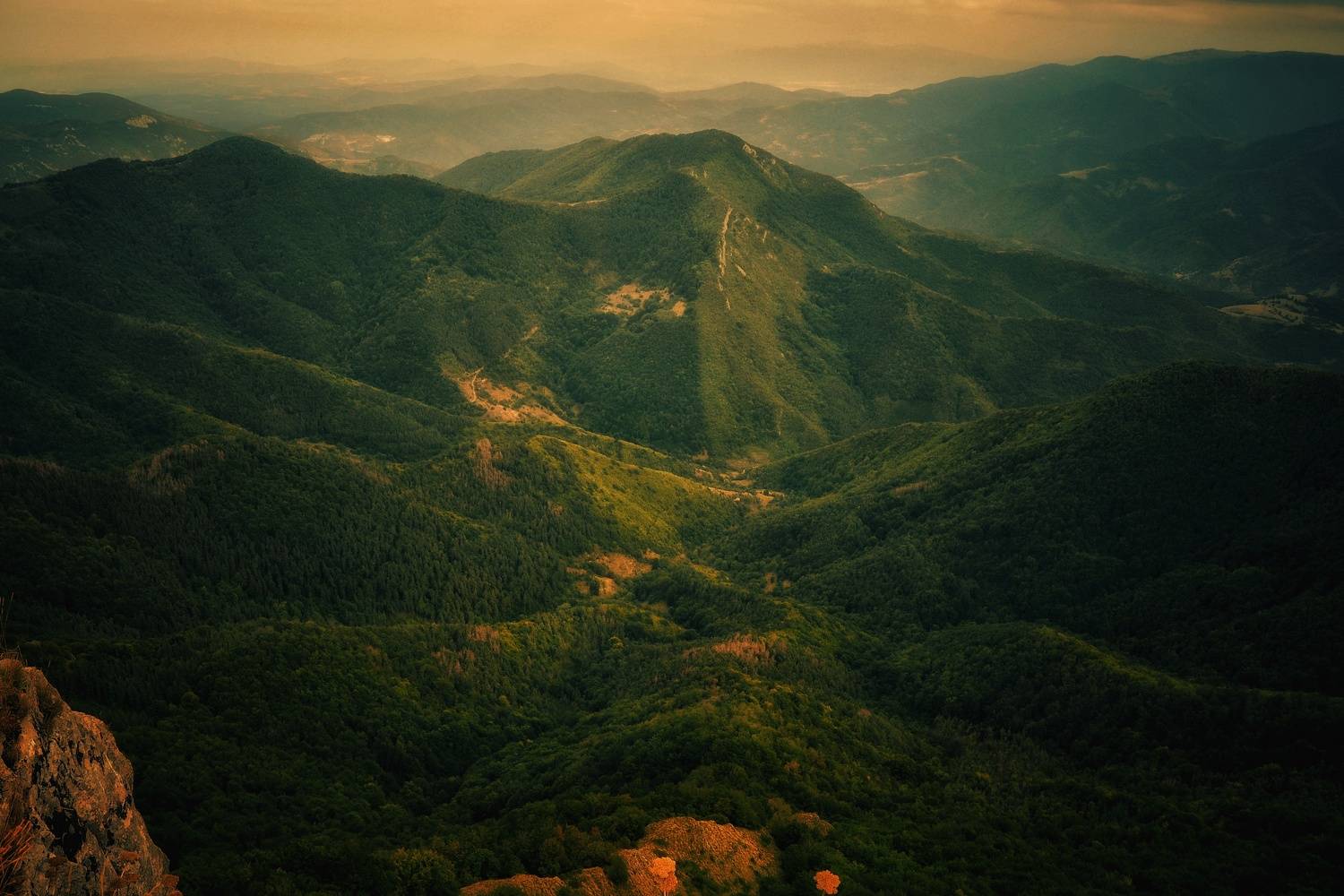 , Юлияна Стоянова