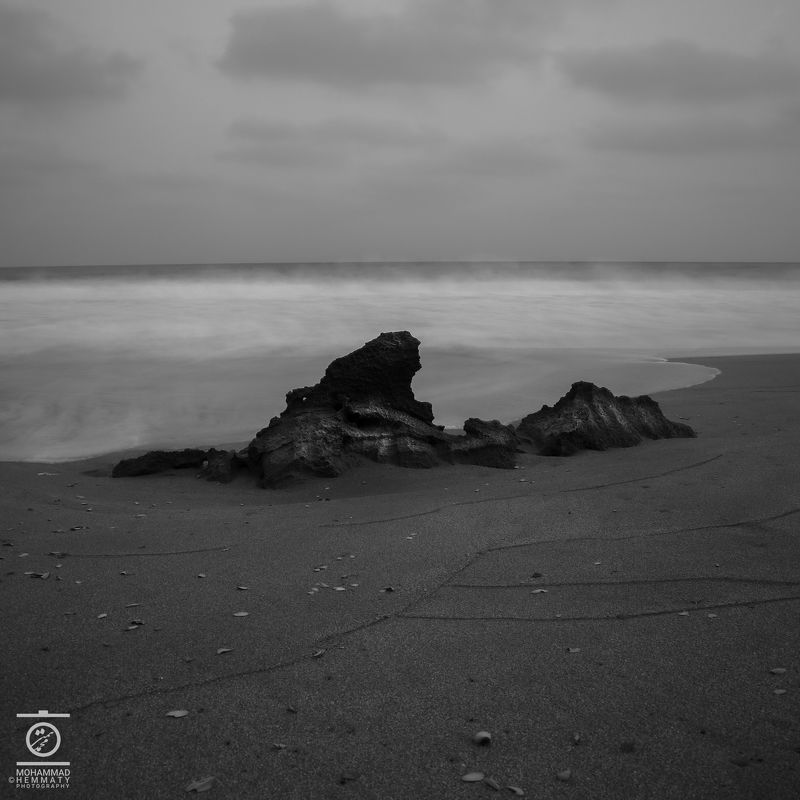 Leafs near the cliff фото превью