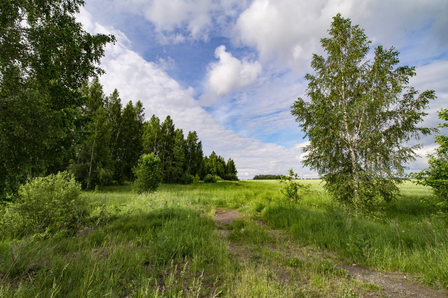 , Шитов Александр