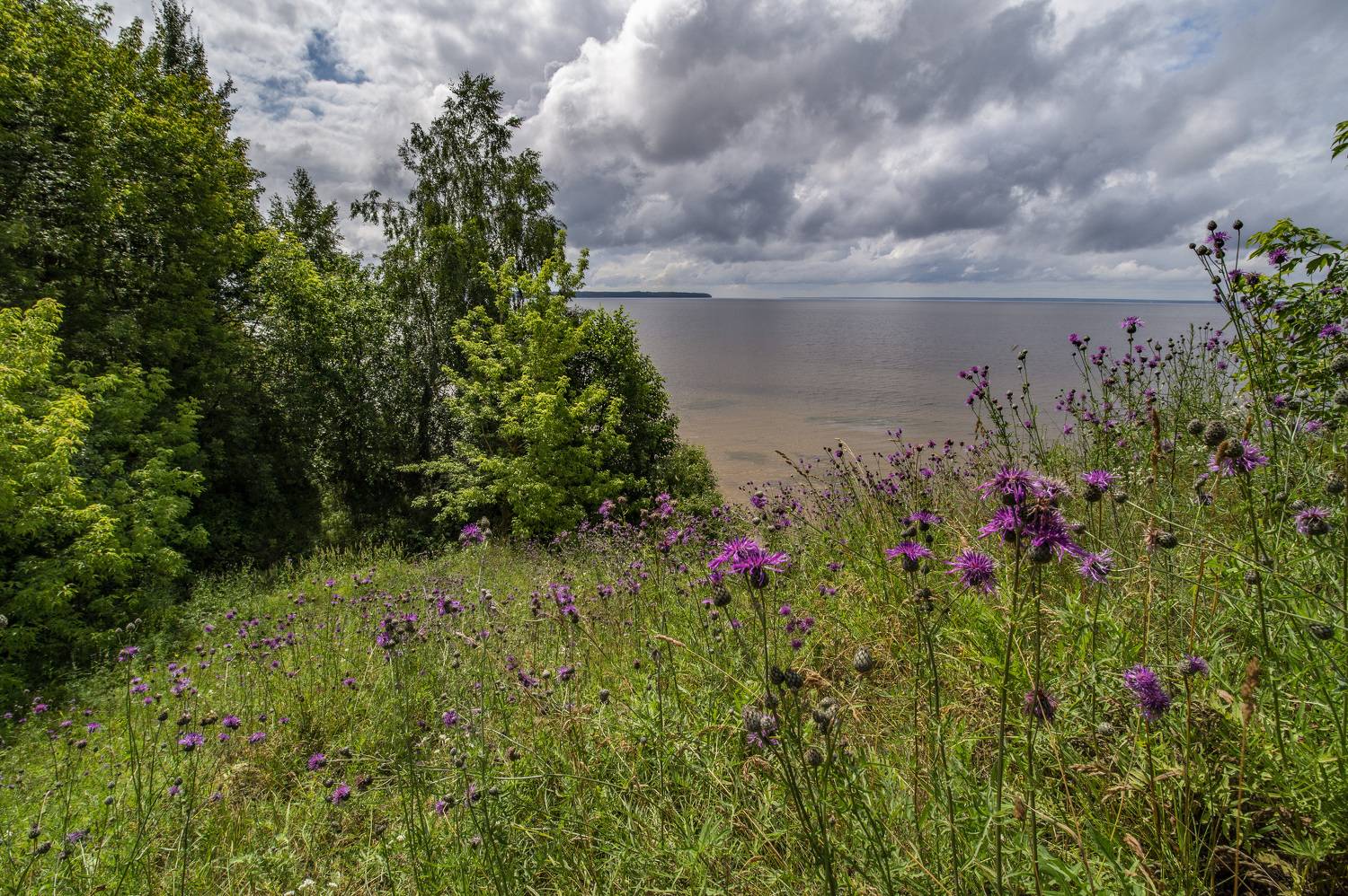 цветы на берегу, Шитов Александр