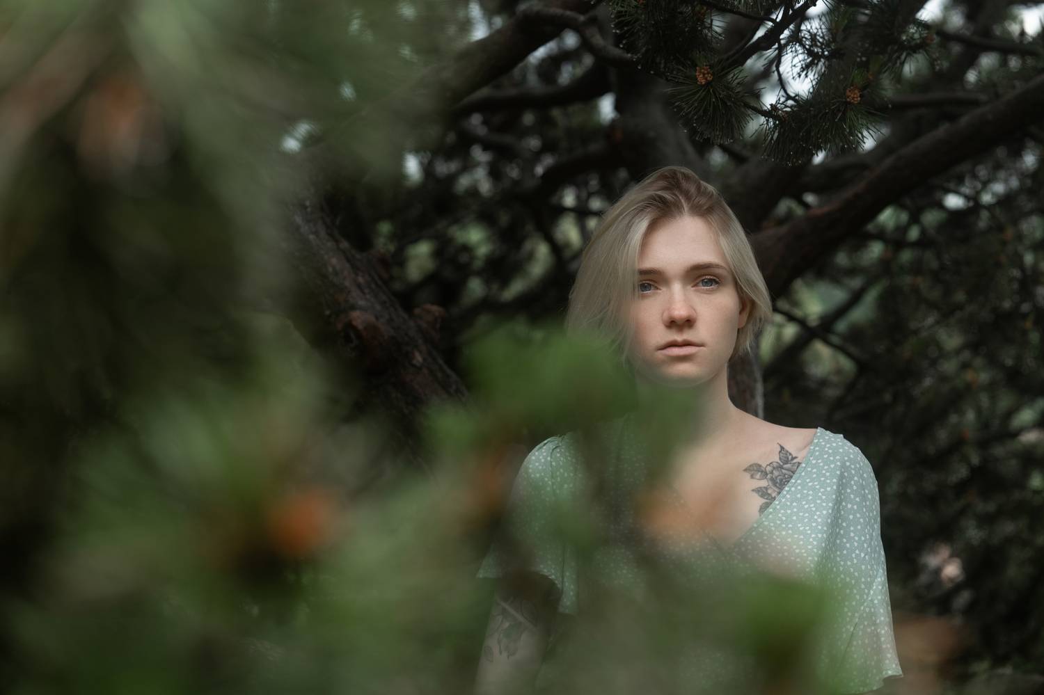 ботанический сад, москва, лето, девуша, Александр Зенкин