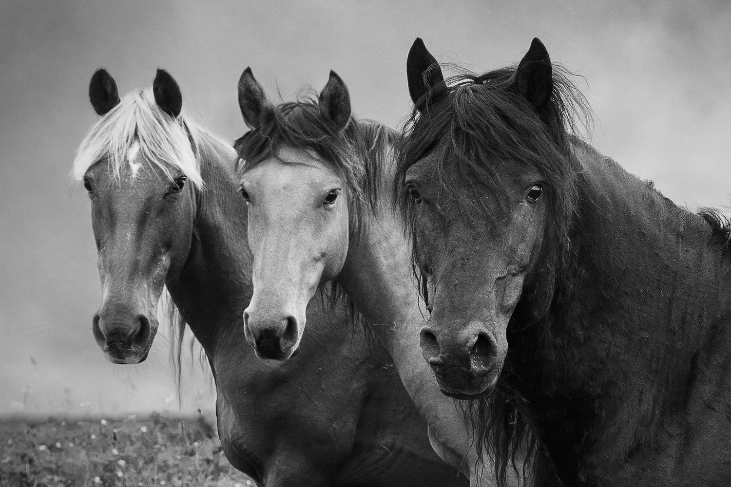 , Руднев Юрий