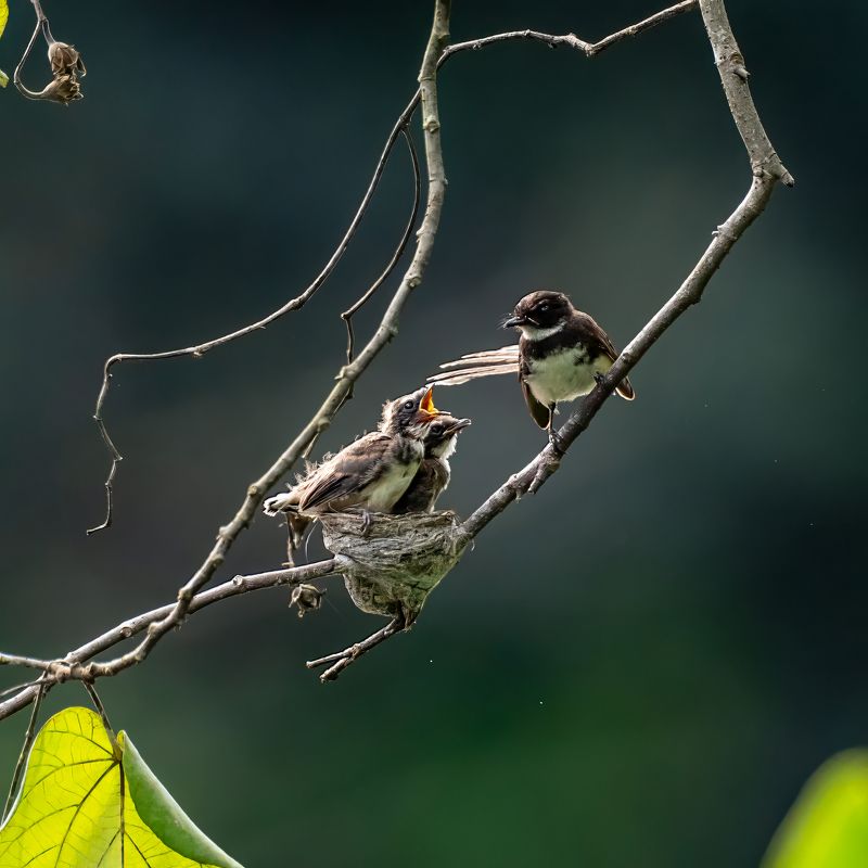 Unconditional Love -m фото превью
