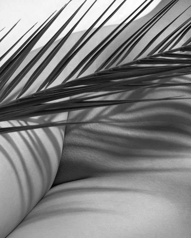 2024 фото превью