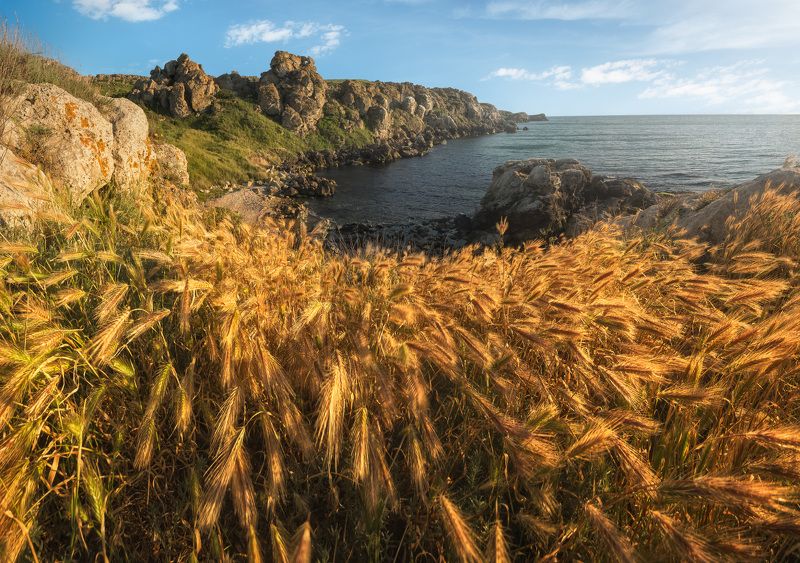 крым, море, закат, черное море Побережье Азовского моря фото превью