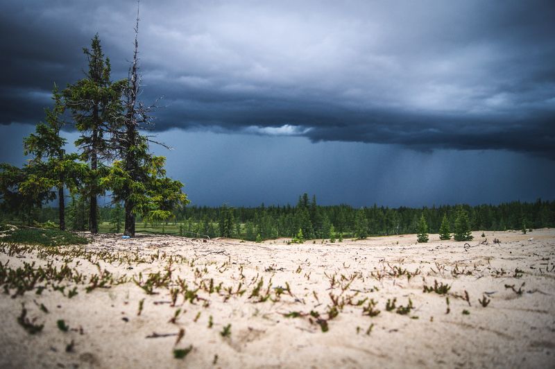 Затишье, перед бурей фото превью