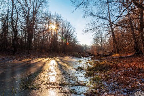 Солнечный ноябрь