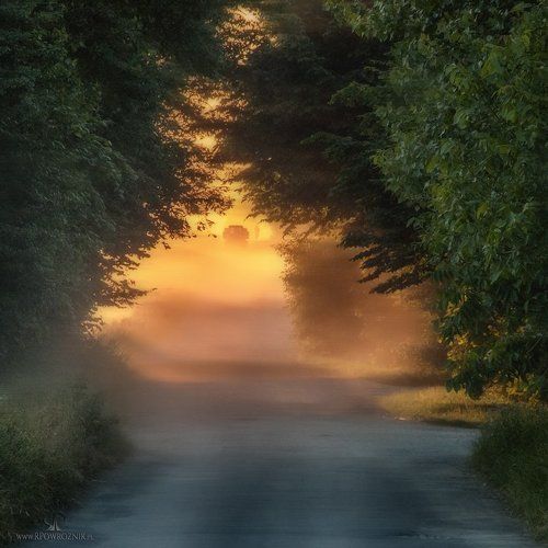 sunset...