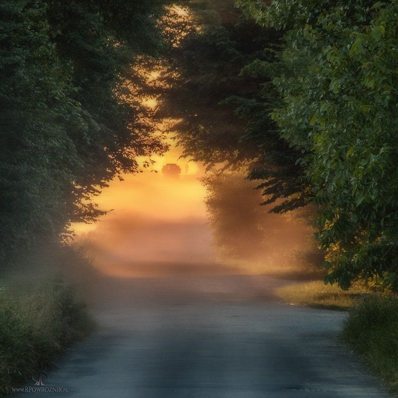 rpowroznik, sunset, landscape, scenery, light sunset... фото превью