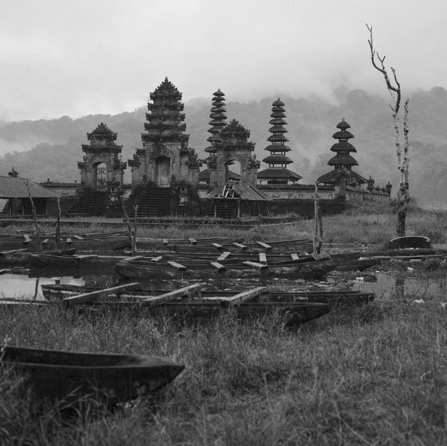 bali, indonesia, Roman Radkevich
